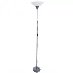 Торшер Arte Lamp DUETTO Серебристый A9569PN-1SI