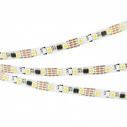 Лента SPI-5000-AM 12V White6000 (5060, 60 LED/m, x3) (Arlight, Открытый, IP20)