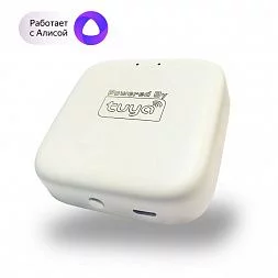 WIFI Converter SMART